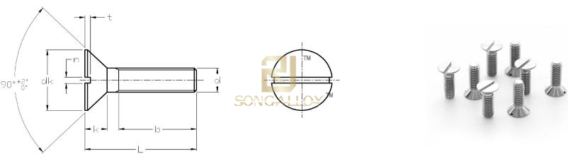 DIN963 Титановый винт